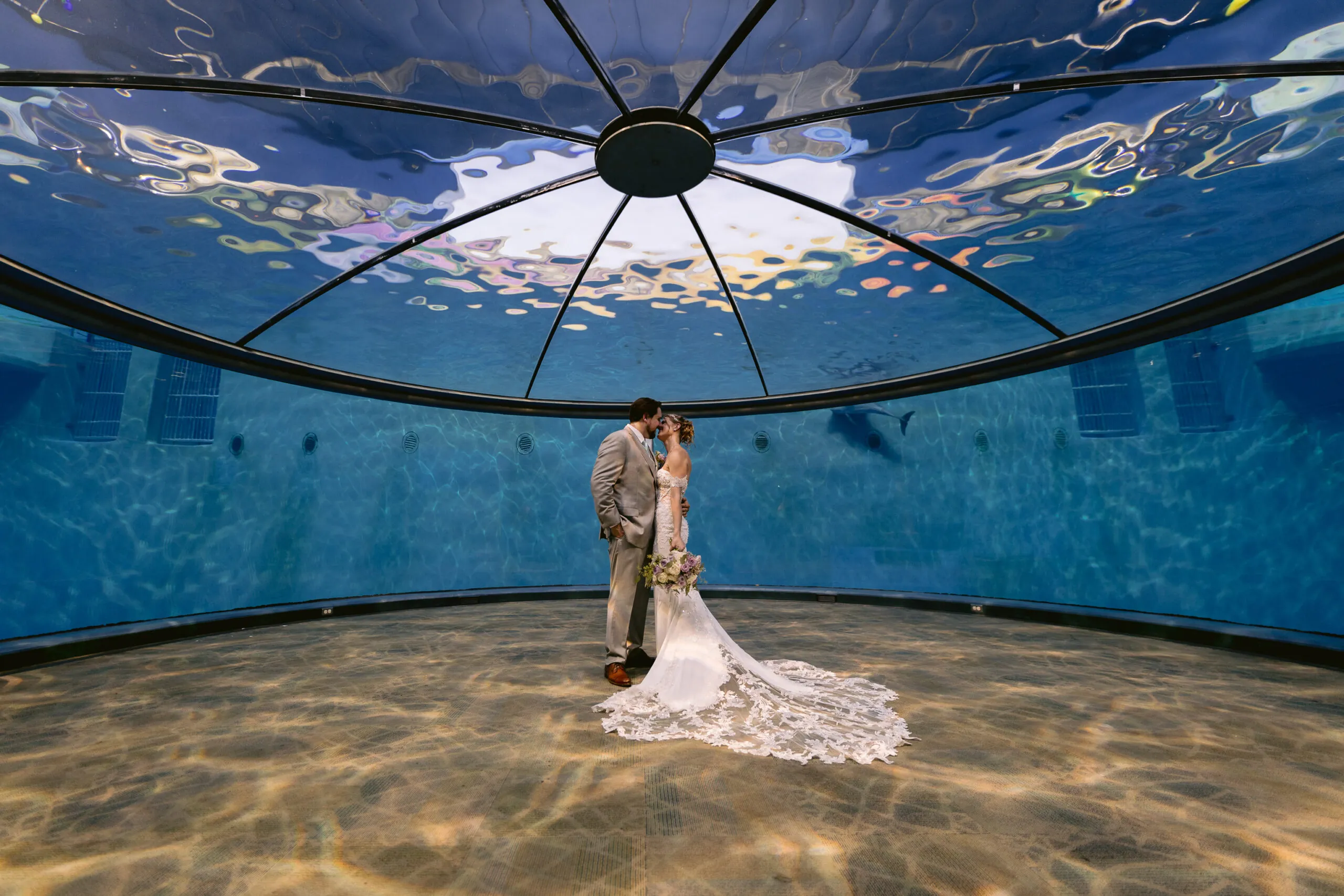 bride and groom in dolphin dome at indianapolis zoo