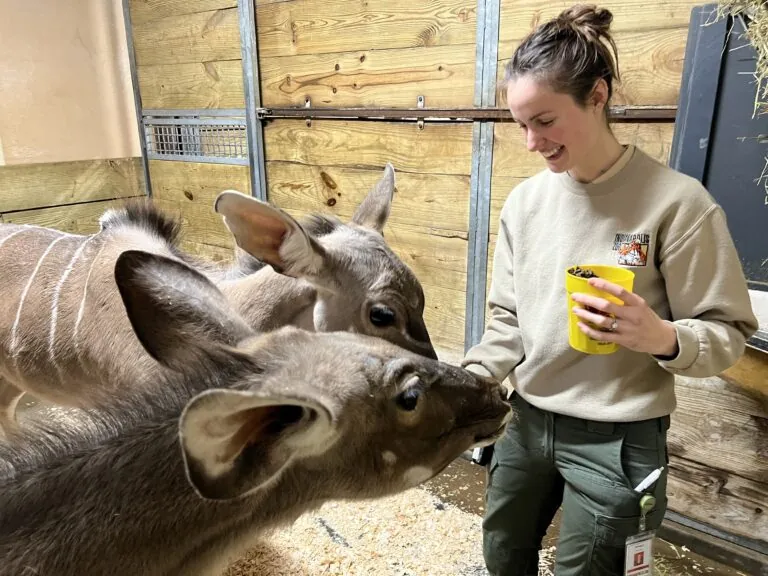 Bridget vet tech