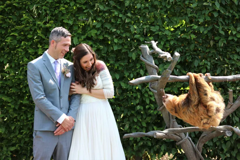 bride ang groom with sloth at the indianapolis zoo