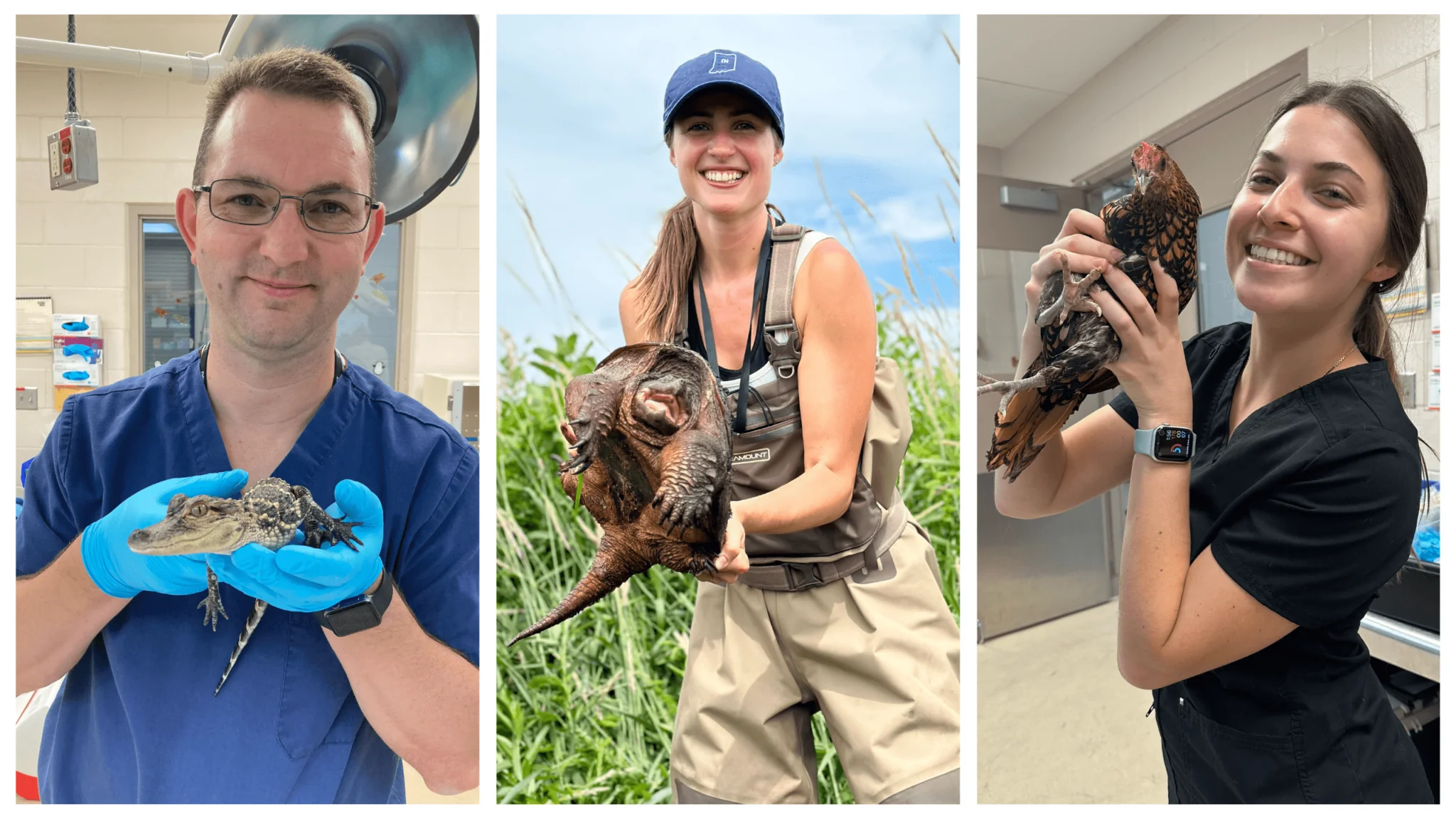 Zoo Vet Techs Collage