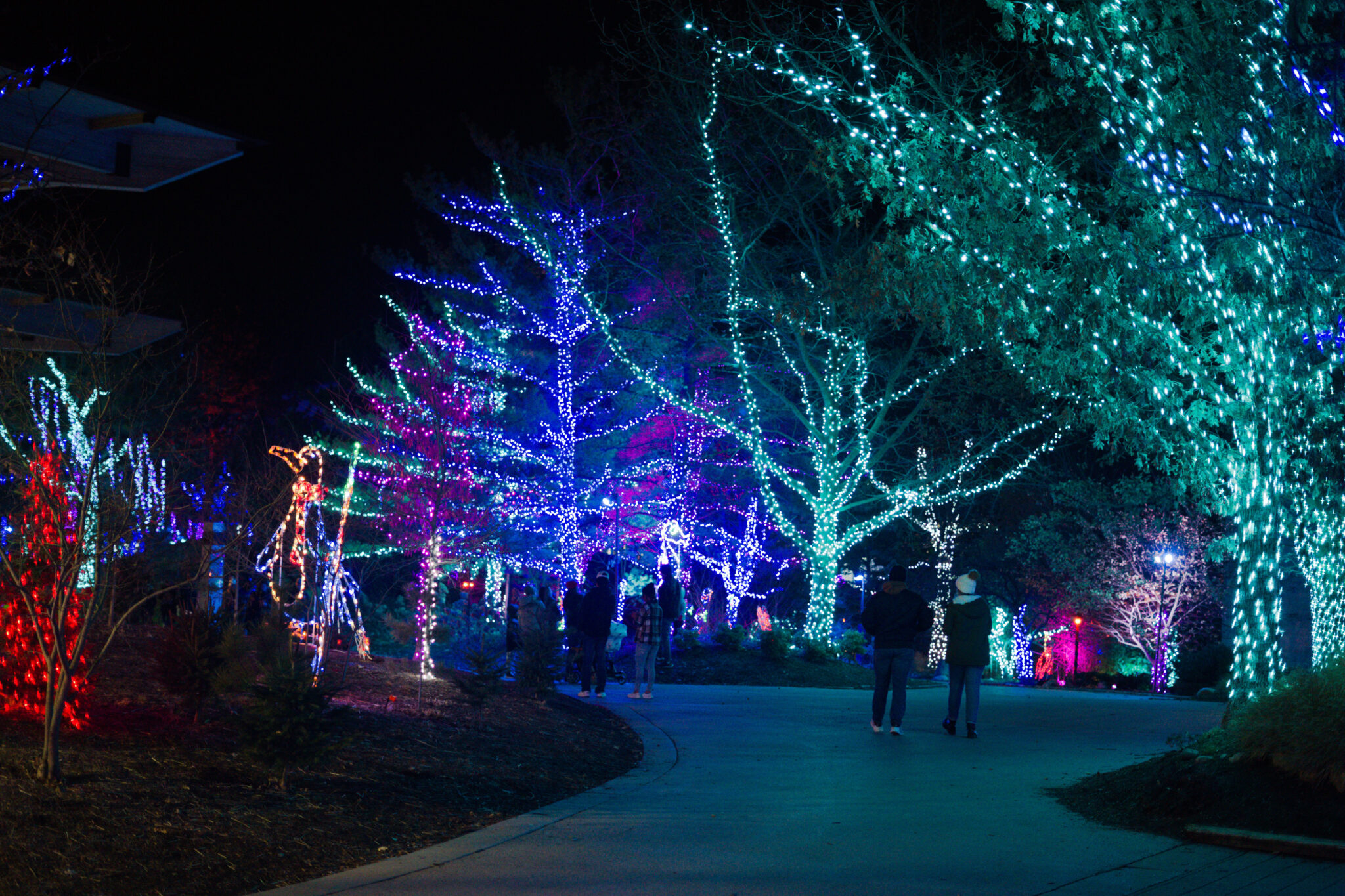 indy zoo christmas lights