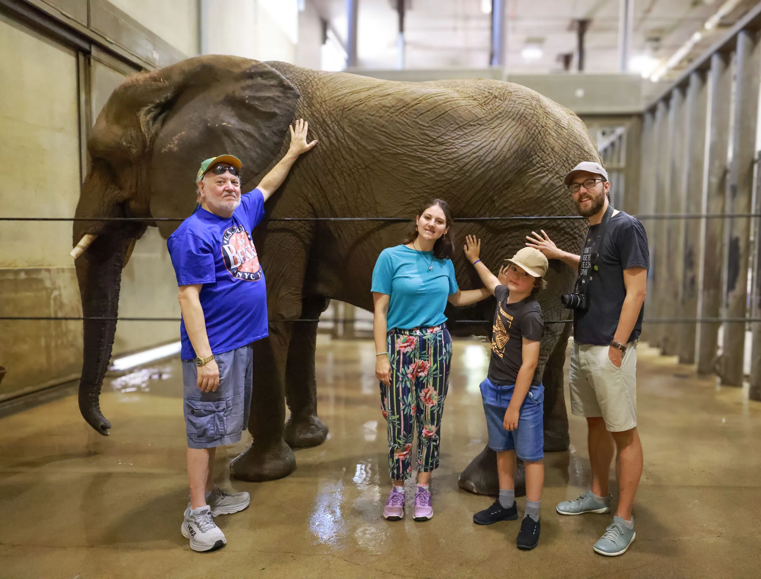 bathe and elephant adventure