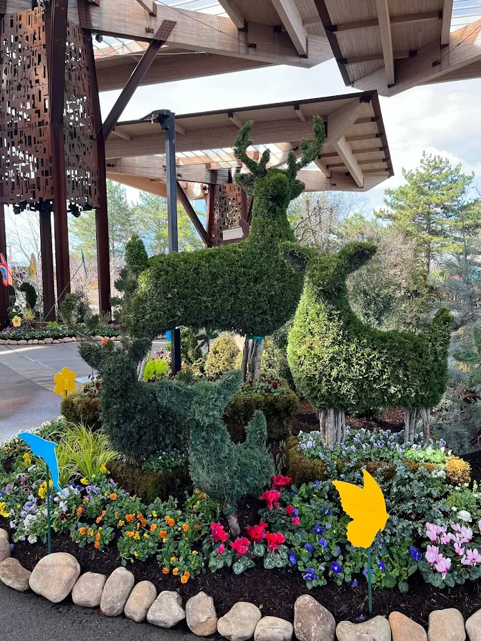 animal topiaries