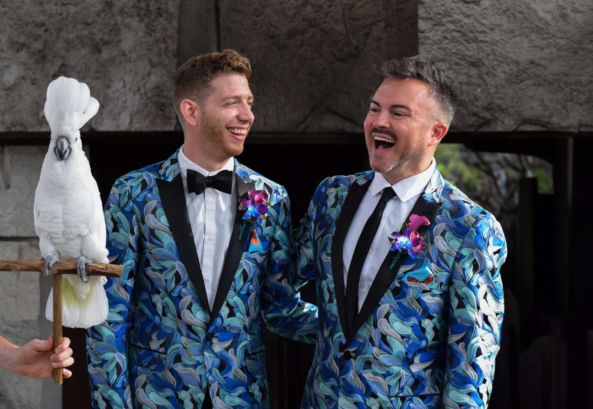 grooms with animal encounter