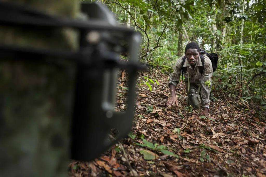 2027 Emerging Conservationist Applicants Announced