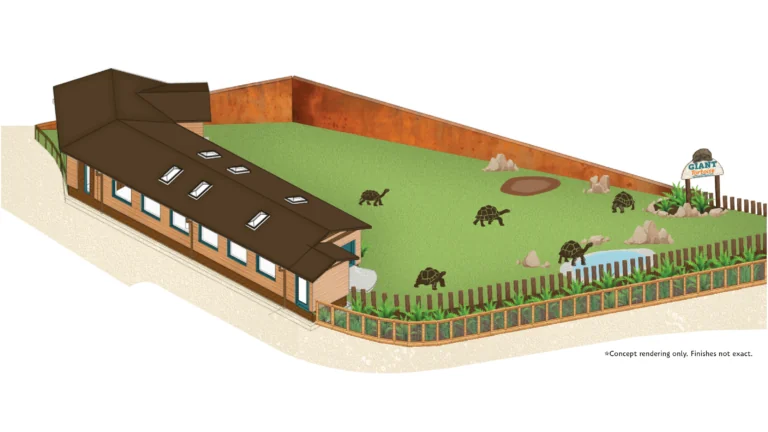 giant-tortoise- exhibit rendering