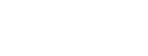 MDWise-Logo cropped white