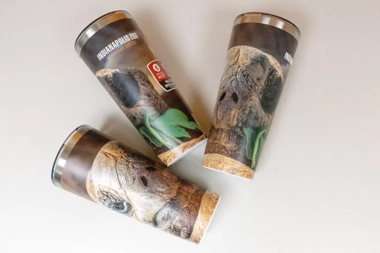 2025 membership cup with tortoise image