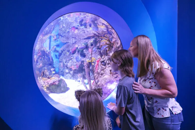 family looking at fish in zoo aquarium