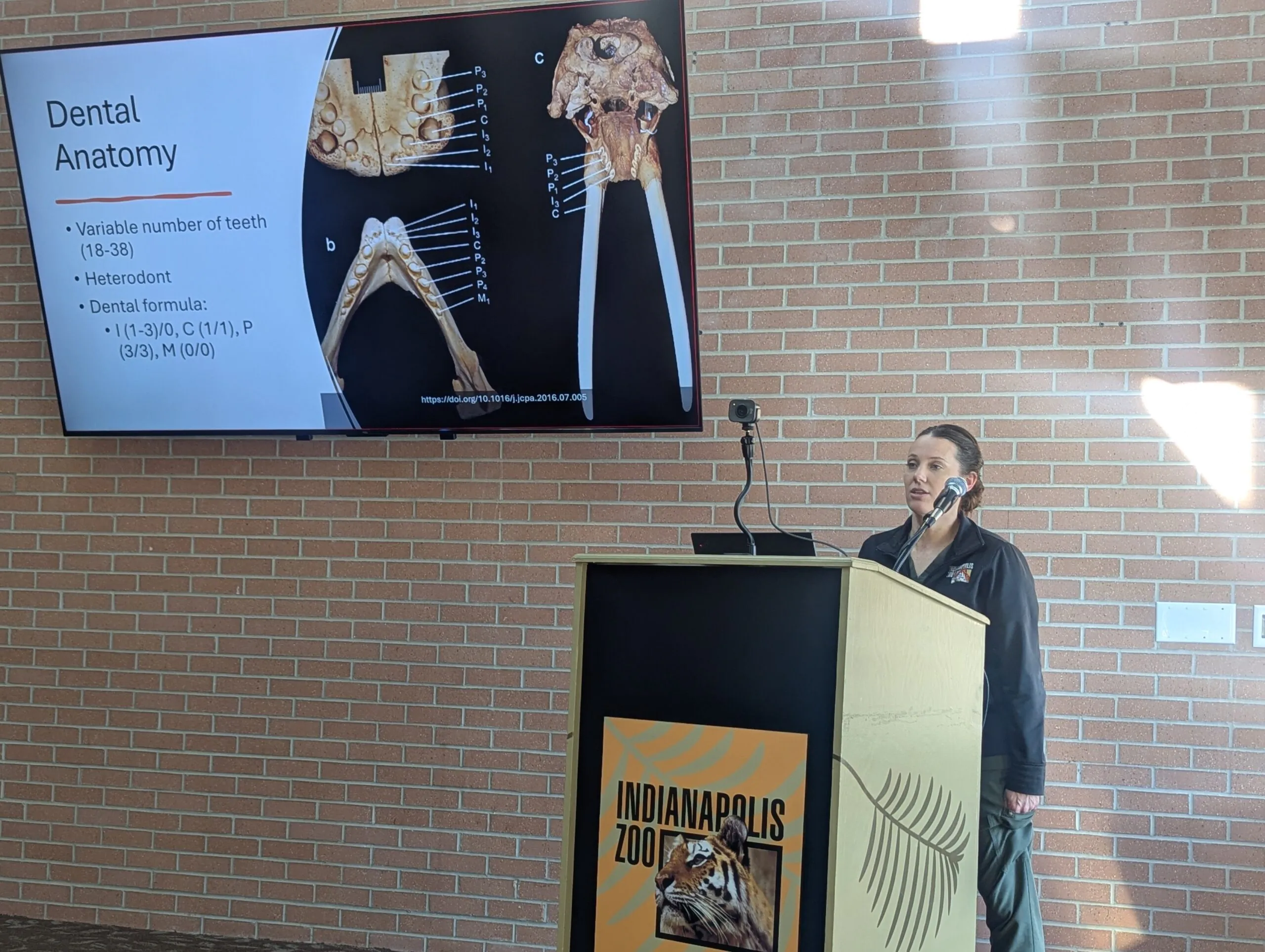 zookeeper giving presentation