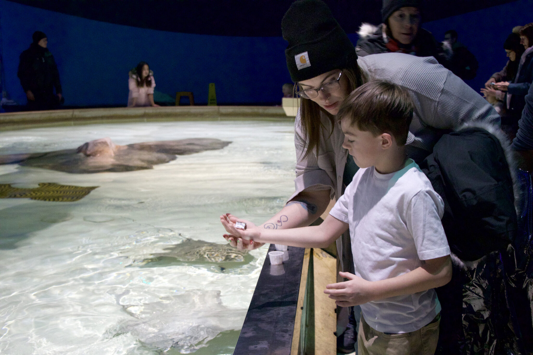 boy and mom feeding stingray