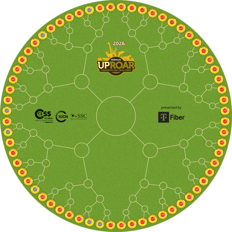 Uproar Challenge Ring