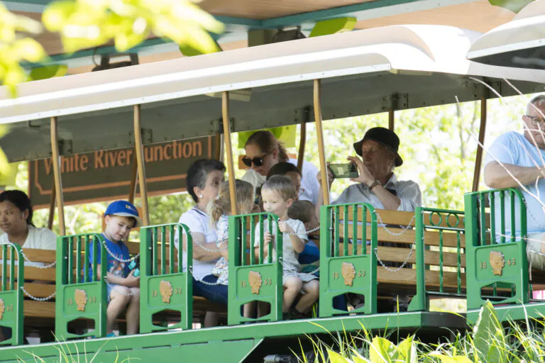 green train ride at zoo
