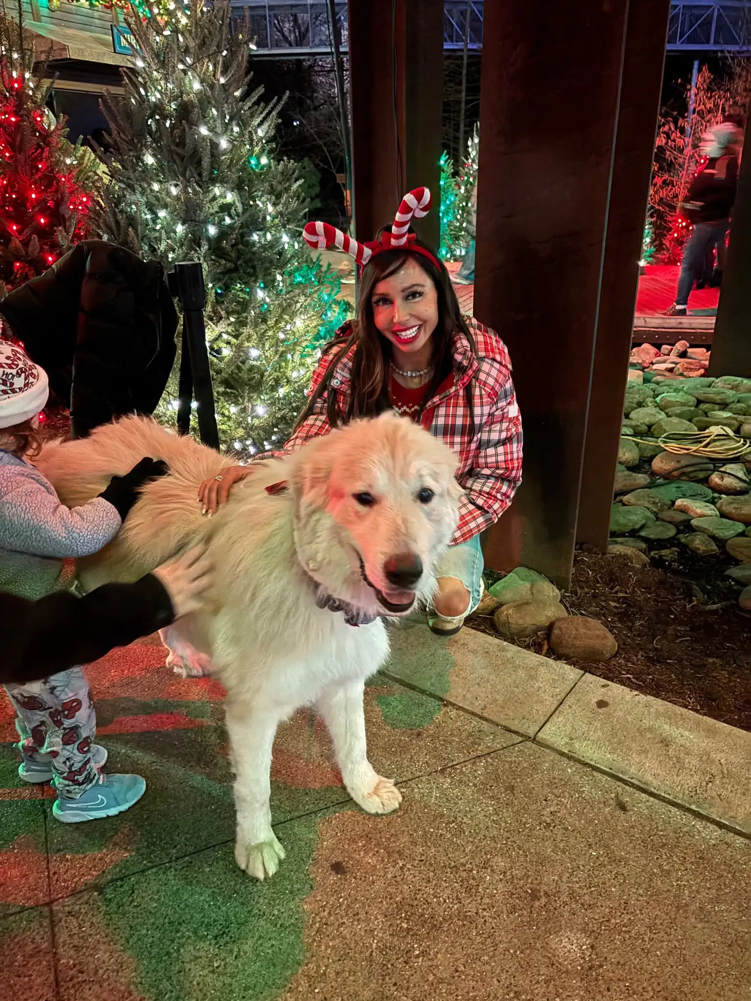 Christmas at the Zoo - Indianapolis Zoo