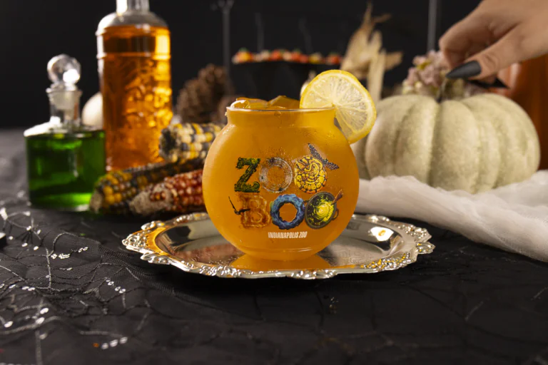 zooboo cocktail with fall decor